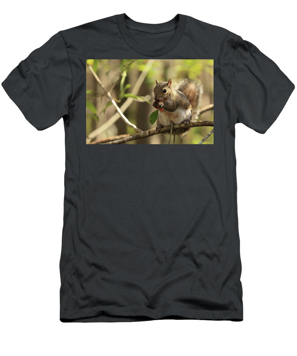 Squirrel T-Shirt featuring the photograph Squirrel Eating Berries by Mingming Jiang