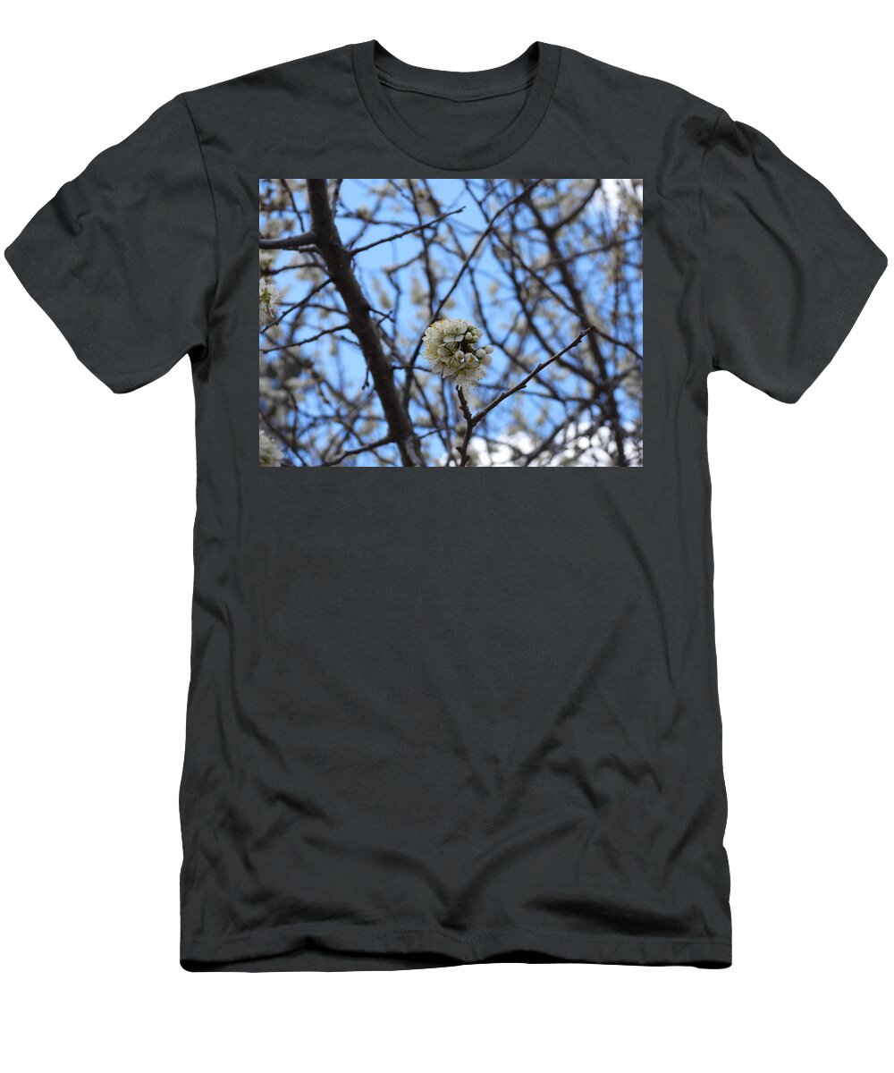 Spring T-Shirt featuring the photograph Stained Glass Blossoms by Amanda R Wright