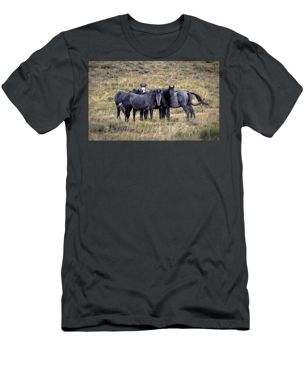 Horse T-Shirt featuring the photograph Stallions by Laura Terriere