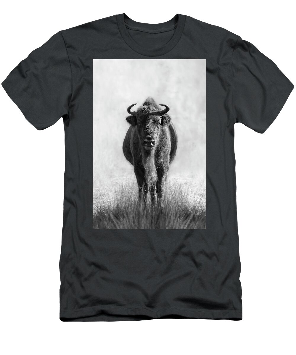 European Bison T-Shirt featuring the photograph Stare down with a Bison by Patrick Van Os
