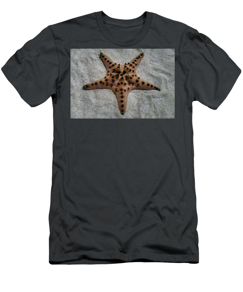 Starfish T-Shirt featuring the photograph Starfish by Eric Hafner