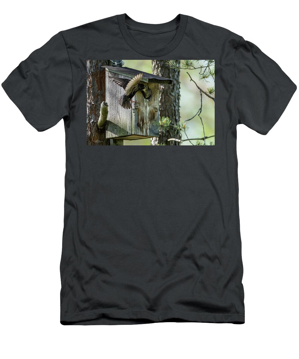 Starling T-Shirt featuring the photograph Starling feed the nestling deep in the throat by Torbjorn Swenelius