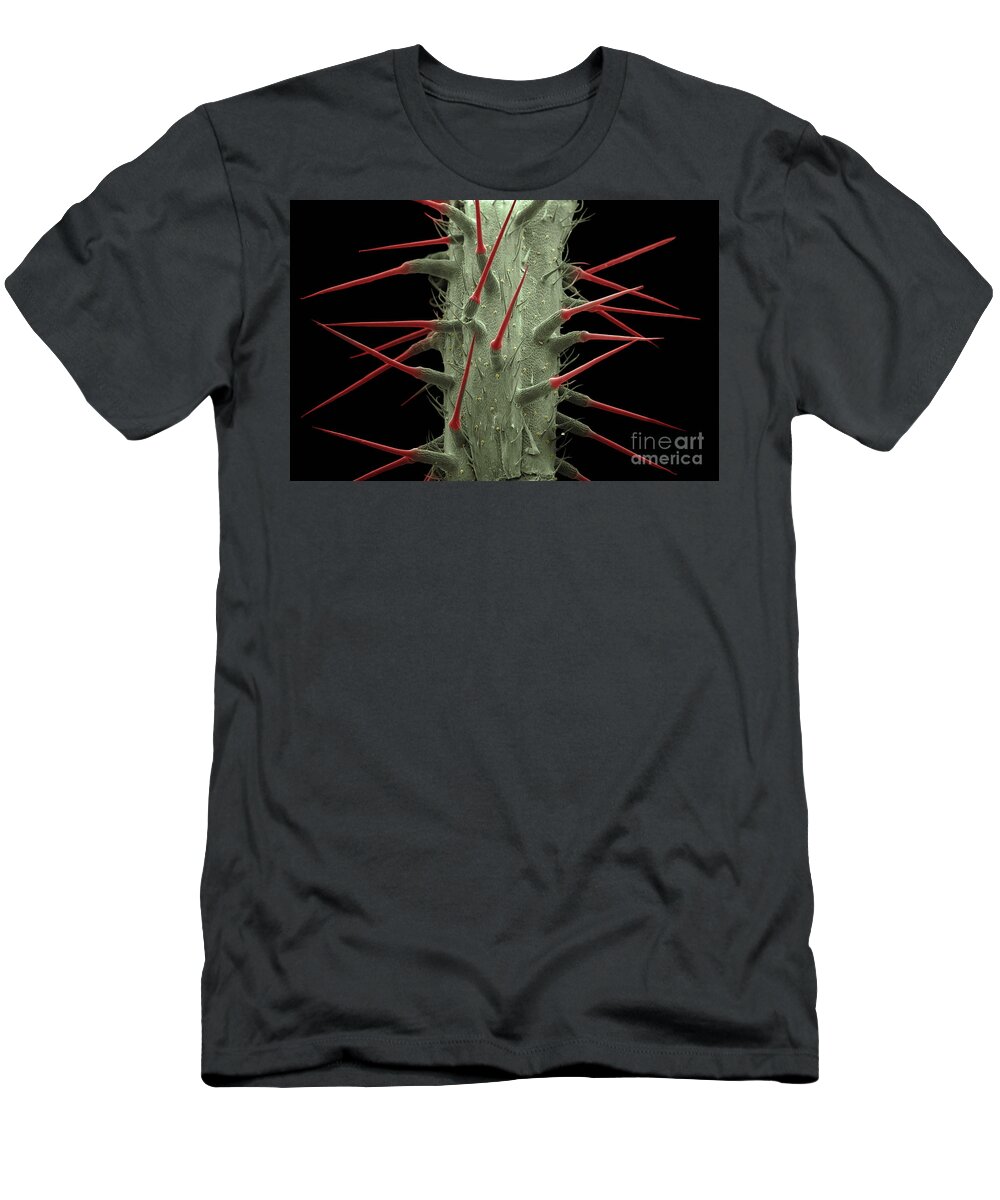 Alternative Medicine T-Shirt featuring the photograph Stinging Nettle SEM by Ted Kinsman
