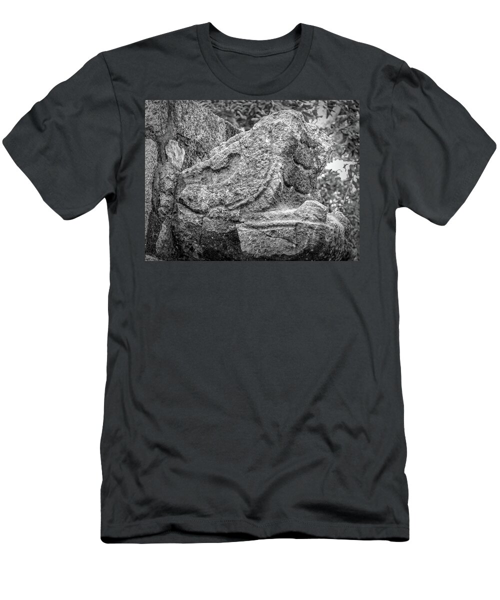 Chichen Itza T-Shirt featuring the photograph Stone Snakehead Carving - Chichen Itza by Frank Mari