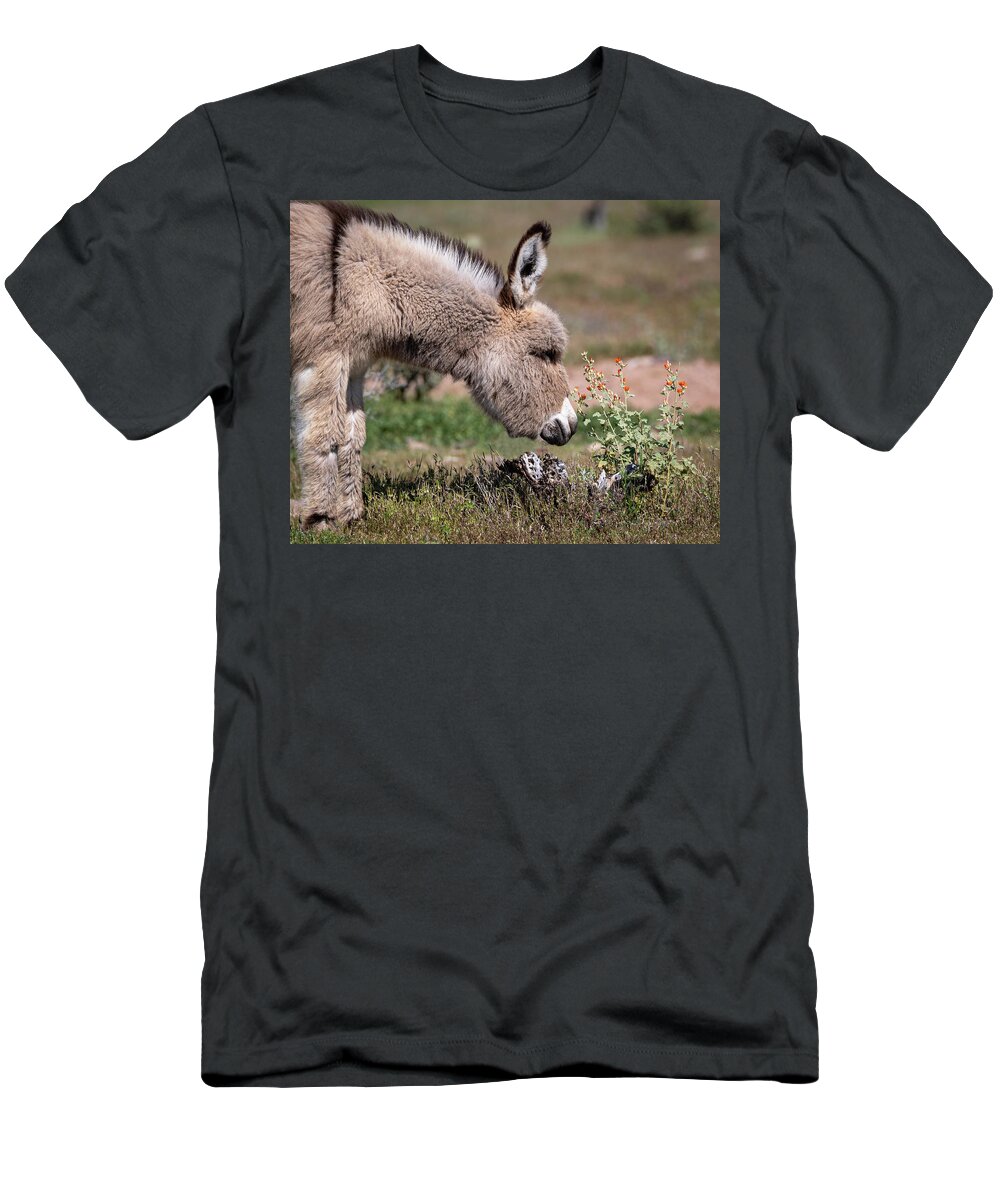 Wild Burros T-Shirt featuring the photograph Stop and smell the flowers by Mary Hone