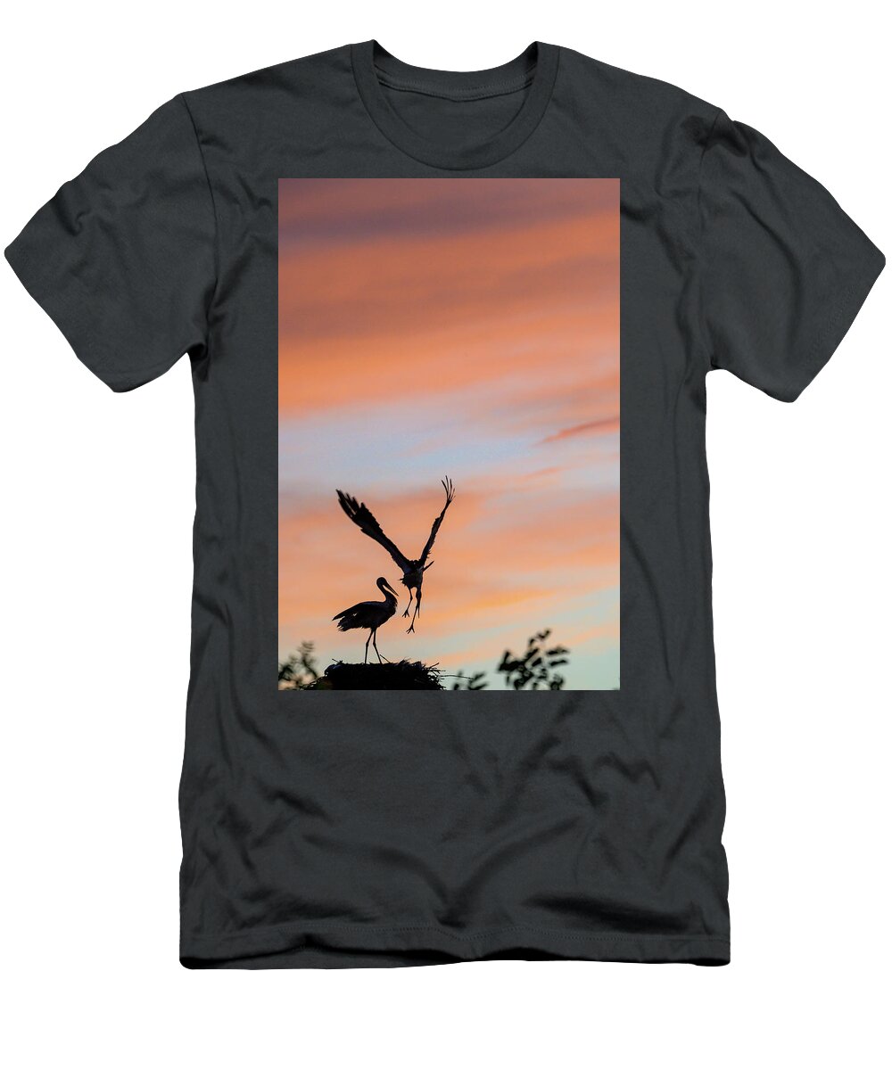 White Stork T-Shirt featuring the photograph Storks Sunset by Cliff Norton
