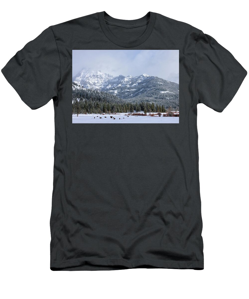 Yellowstone National Park T-Shirt featuring the photograph Storm in Yellowstone by Cheryl Strahl