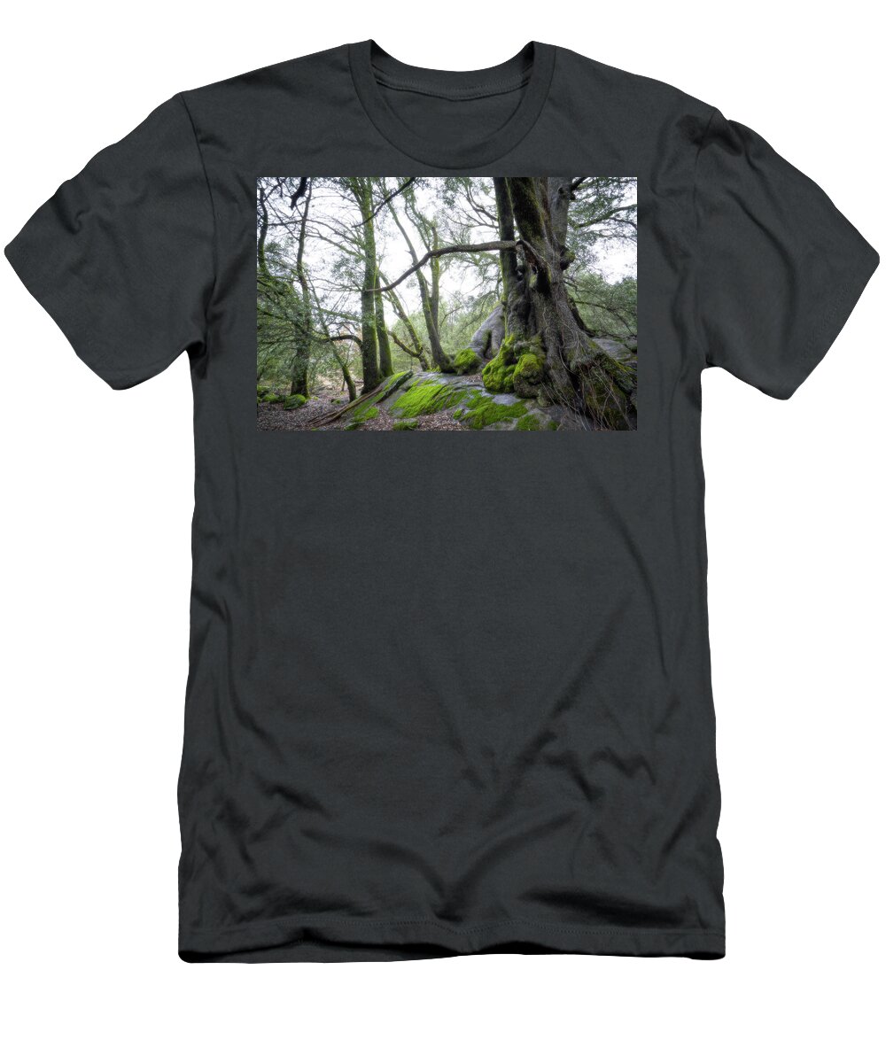 Forest T-Shirt featuring the photograph Storytime by Ryan Weddle