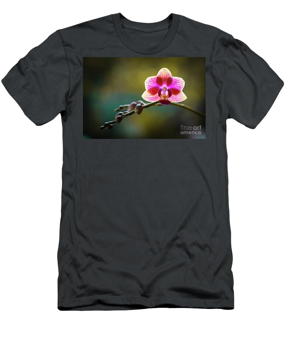 Background T-Shirt featuring the photograph Striped Orchid Flower by Raul Rodriguez