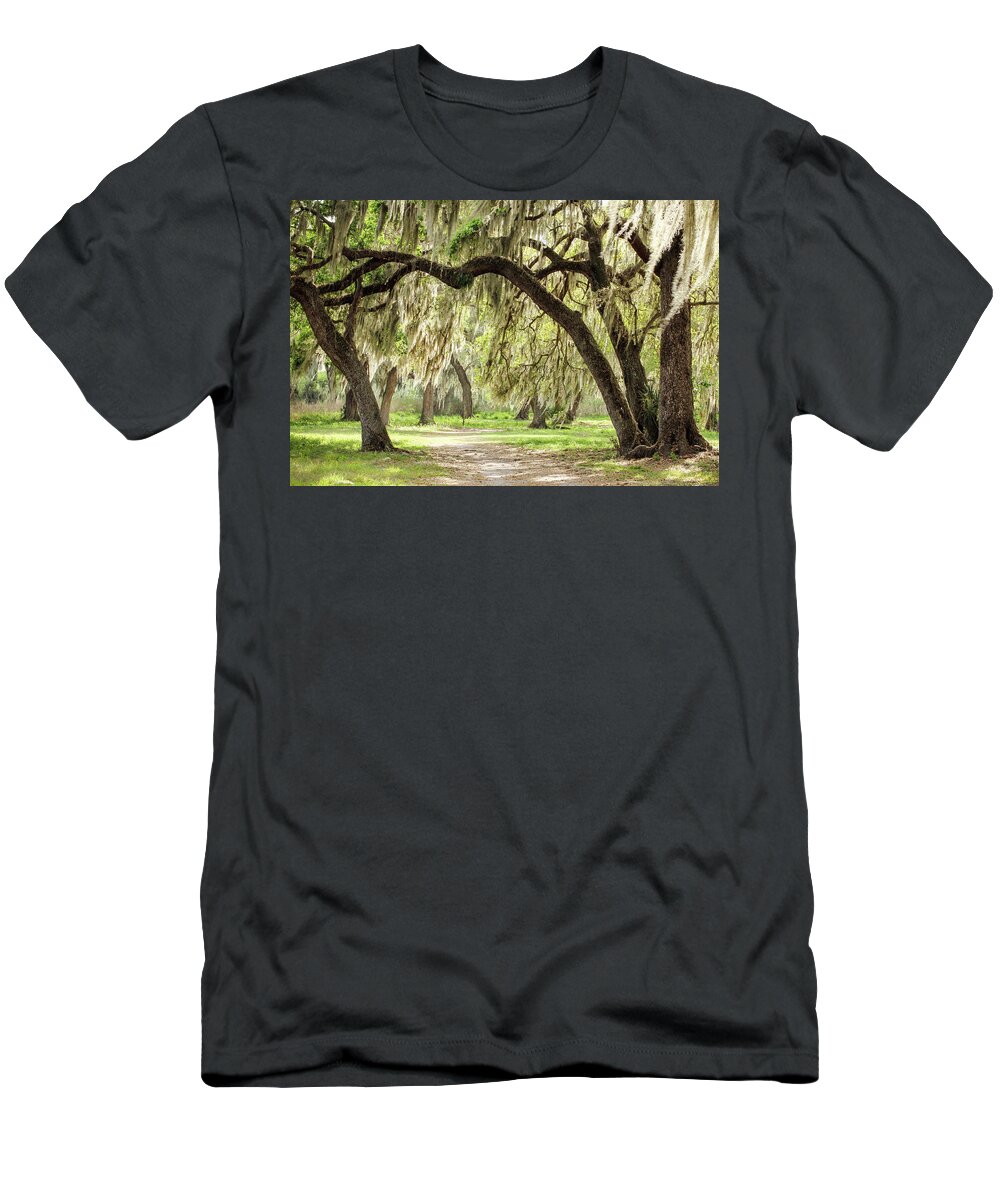 Florida T-Shirt featuring the photograph Strolling Through the Reserve by Robert Carter