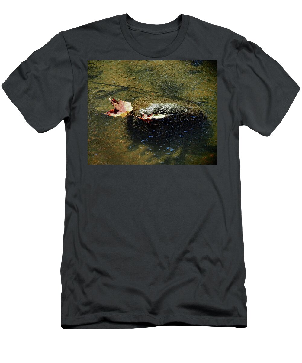 Leaves T-Shirt featuring the photograph Stuck on a Rock by Scott Olsen