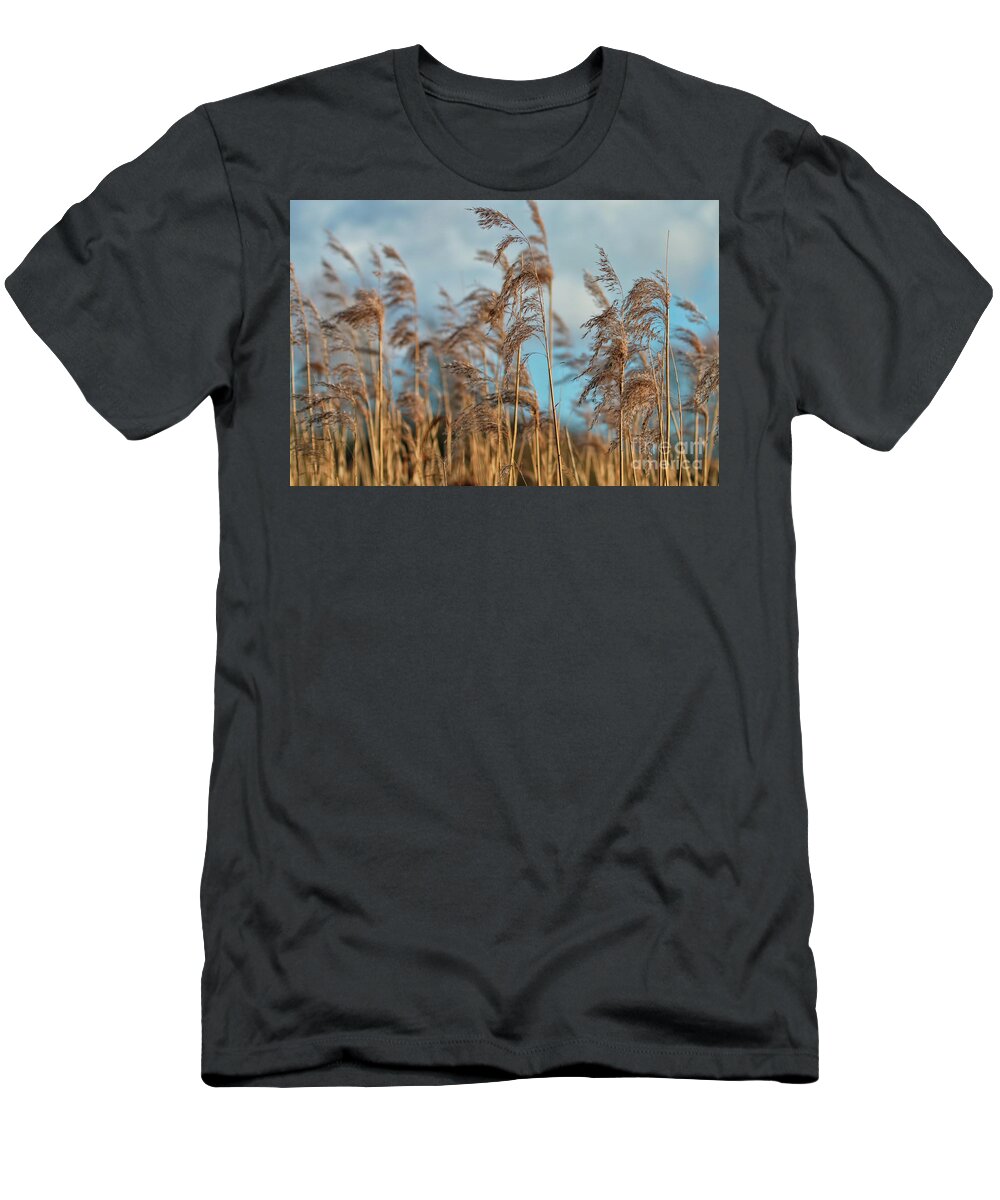 Nature T-Shirt featuring the photograph Summer Pond Grasses by Baggieoldboy