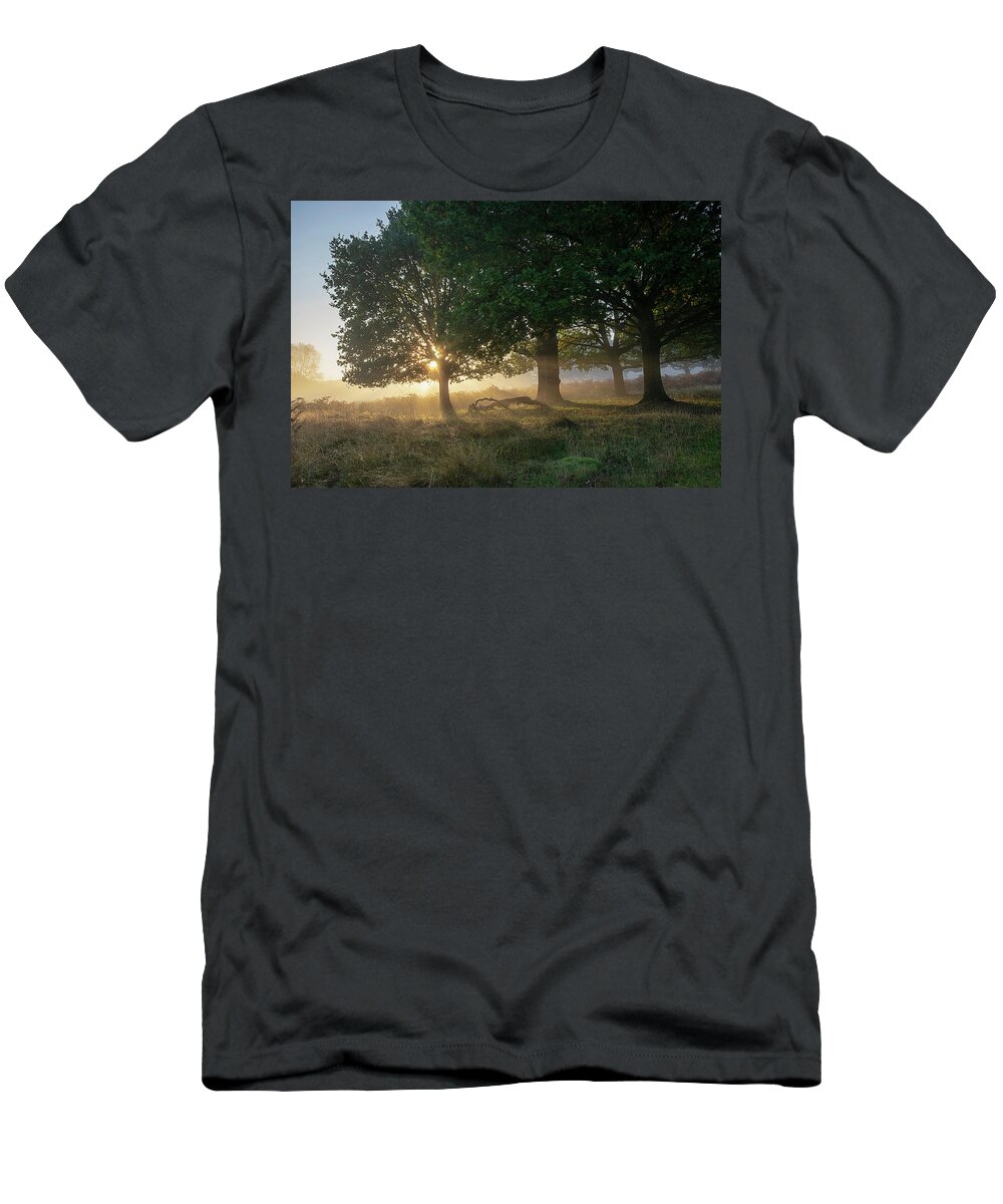 Sunrise T-Shirt featuring the photograph Sun breaking through the trees by Gareth Parkes