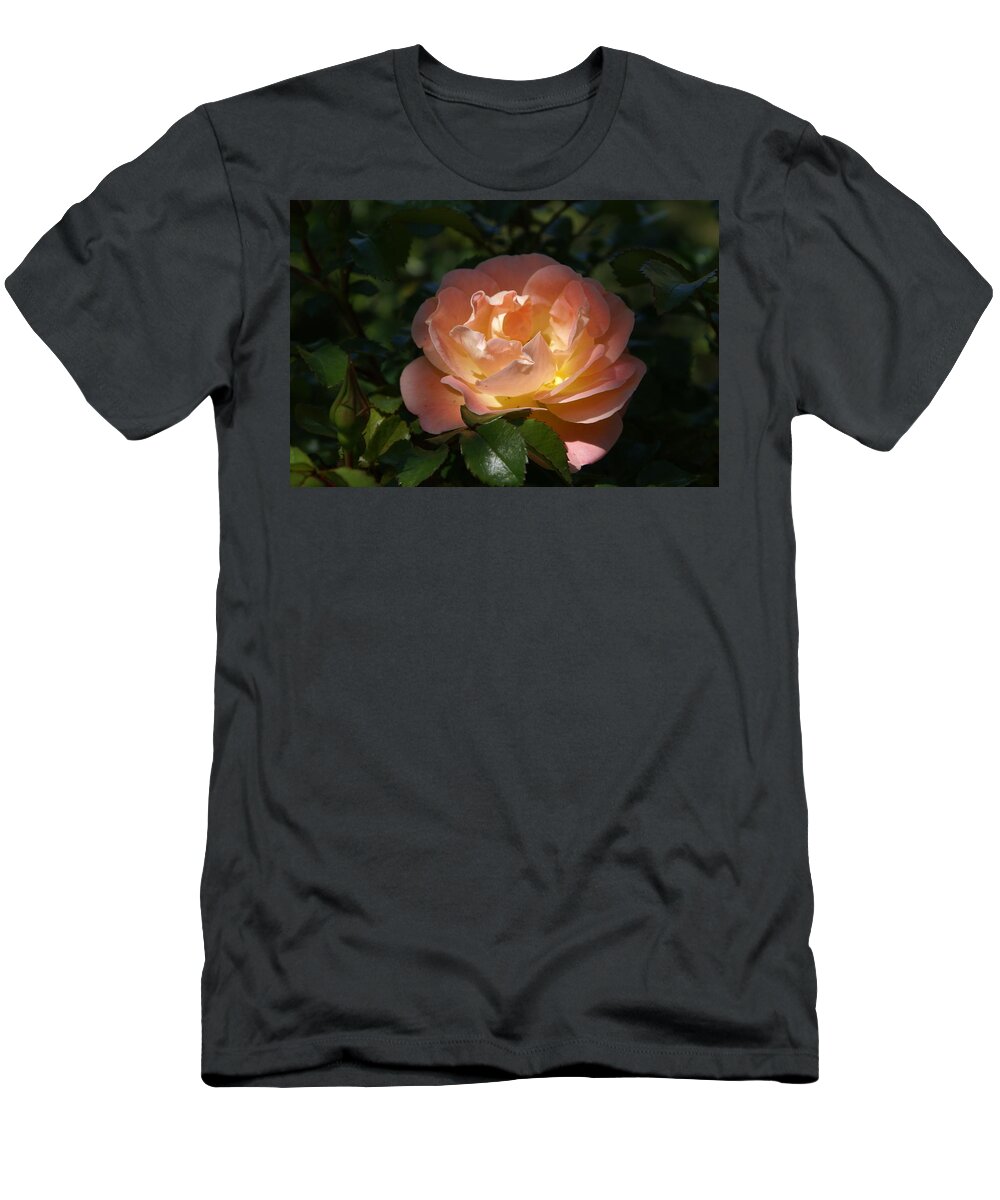  T-Shirt featuring the photograph Sun-kissed Rose by Heather E Harman