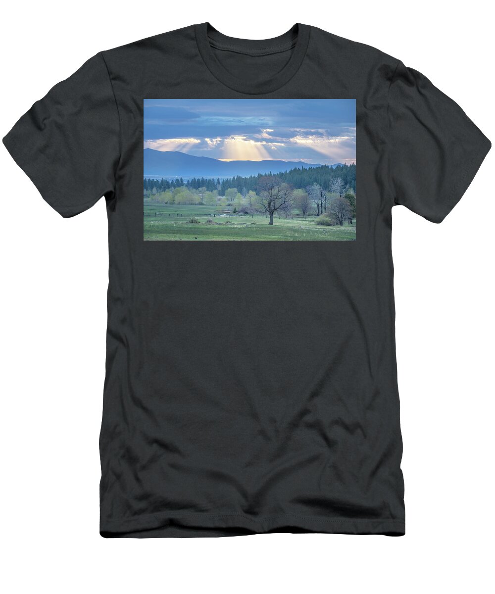 Sunbeam T-Shirt featuring the photograph Sunbeam Meadow by Randy Robbins
