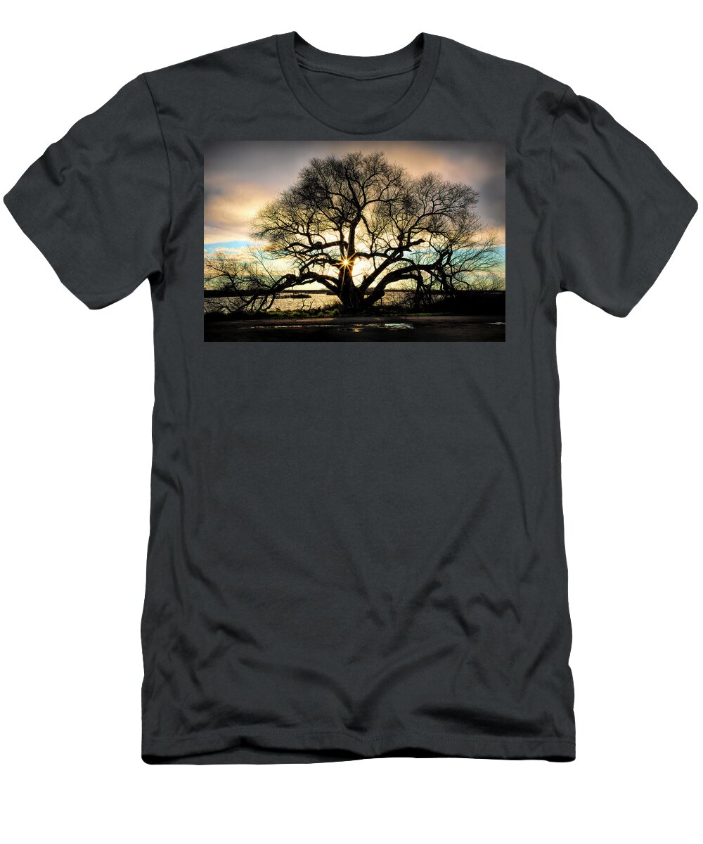 California T-Shirt featuring the photograph Sunburst at Sunrise by Cheryl Strahl