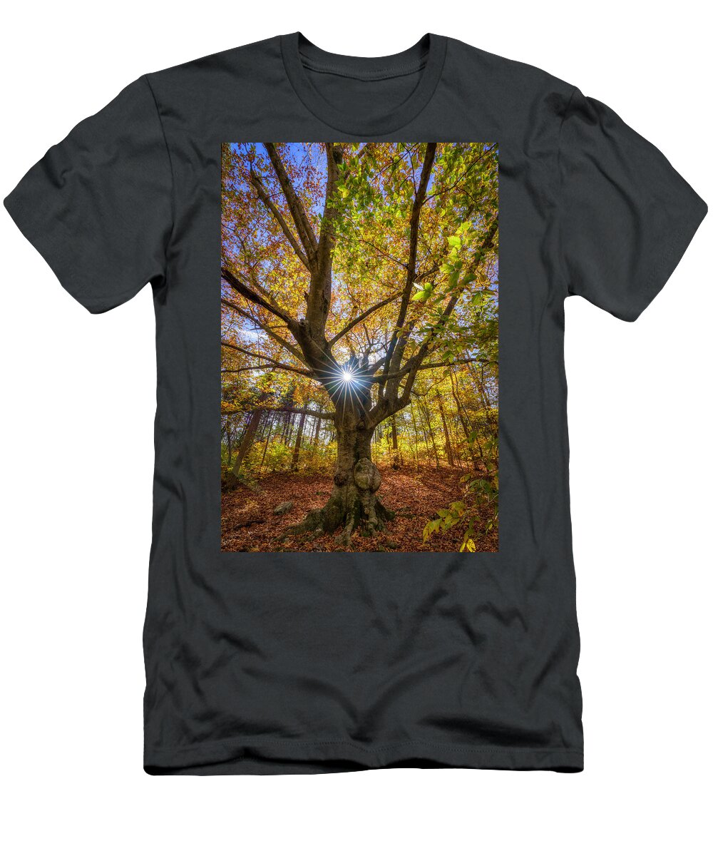 Arkansas T-Shirt featuring the photograph Sunburst Tree by David Dedman