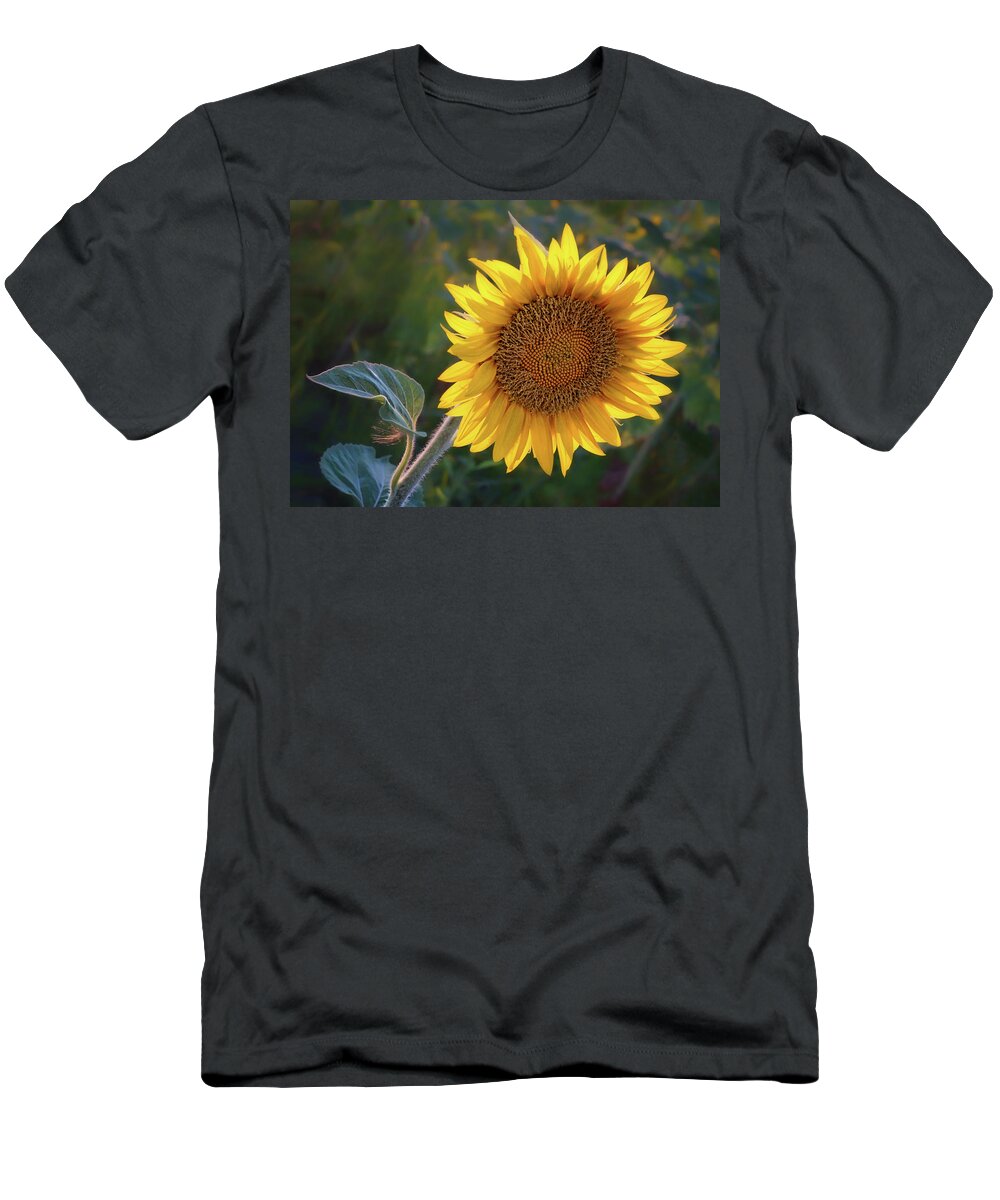Sunflower T-Shirt featuring the photograph Sunflower - Facing East by Nikolyn McDonald
