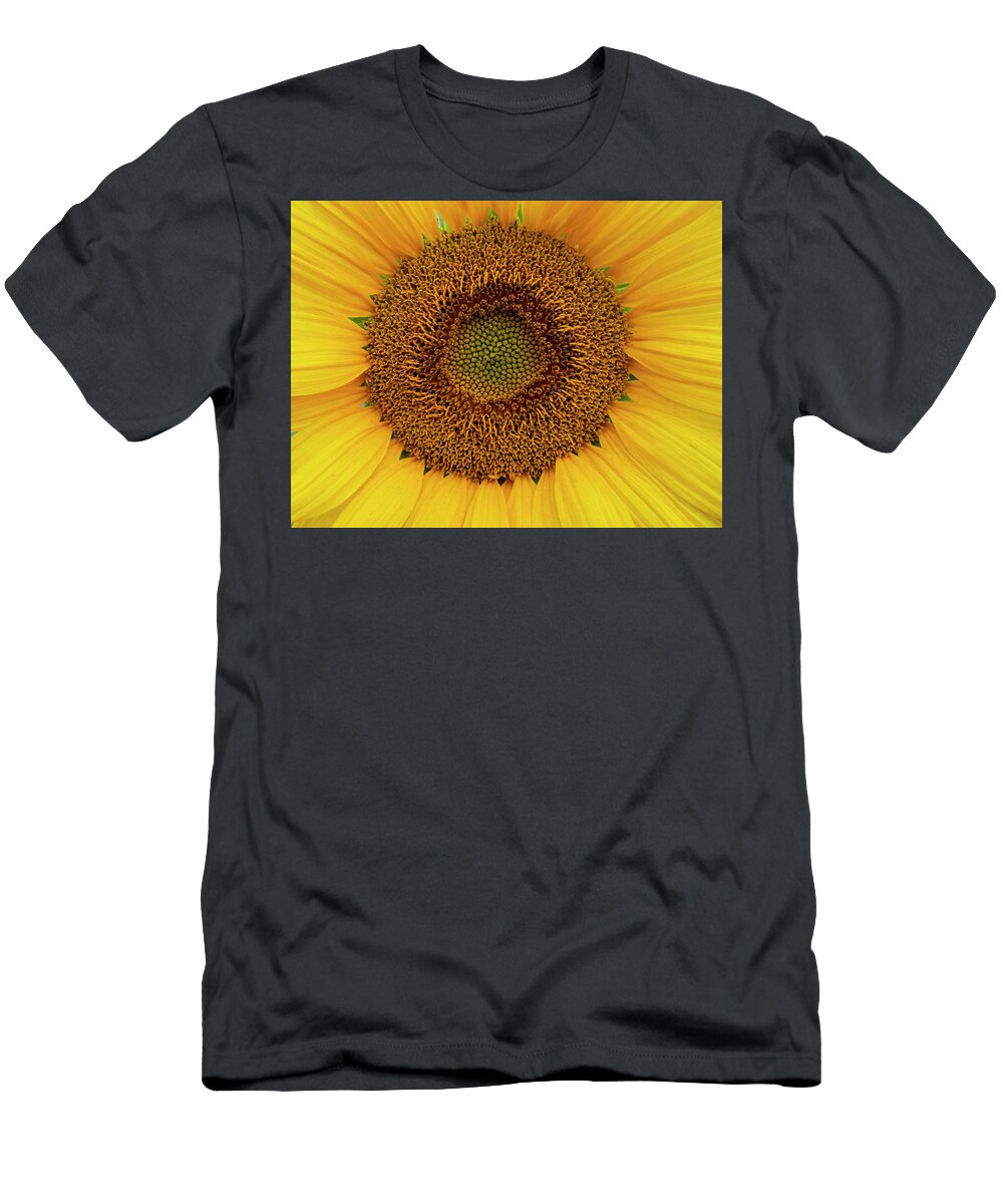Sunflower T-Shirt featuring the photograph Sunflower Pattern by Phil And Karen Rispin