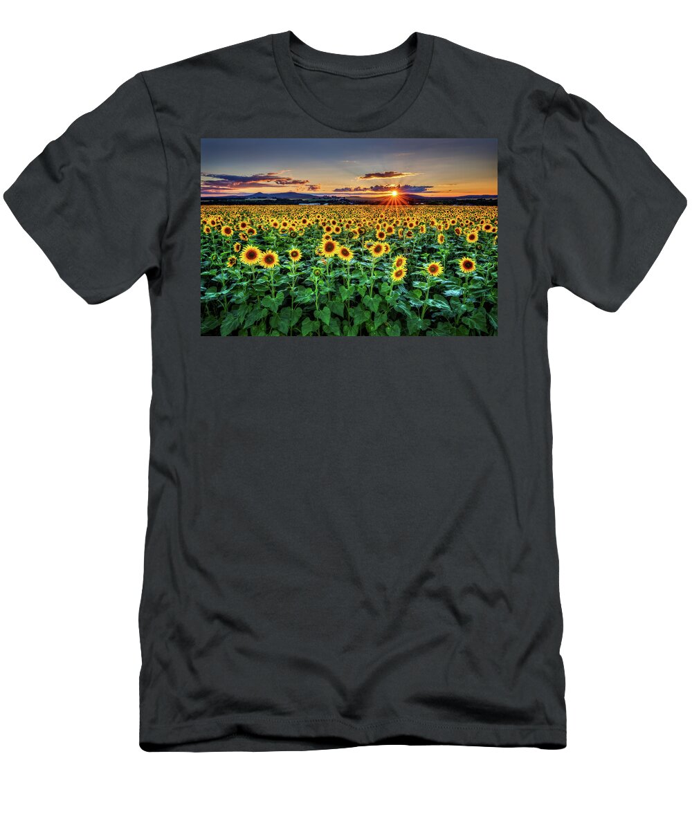 Sunflowers T-Shirt featuring the photograph Sunflowers a6676 by Greg Hartford