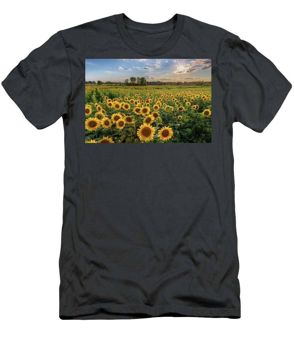 Sunflowers At Sunset T-Shirt featuring the photograph Sunflowers and Sun by Rod Best