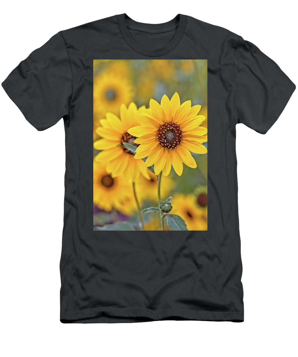 Sunflowers T-Shirt featuring the photograph Sunflowers by Bob Falcone