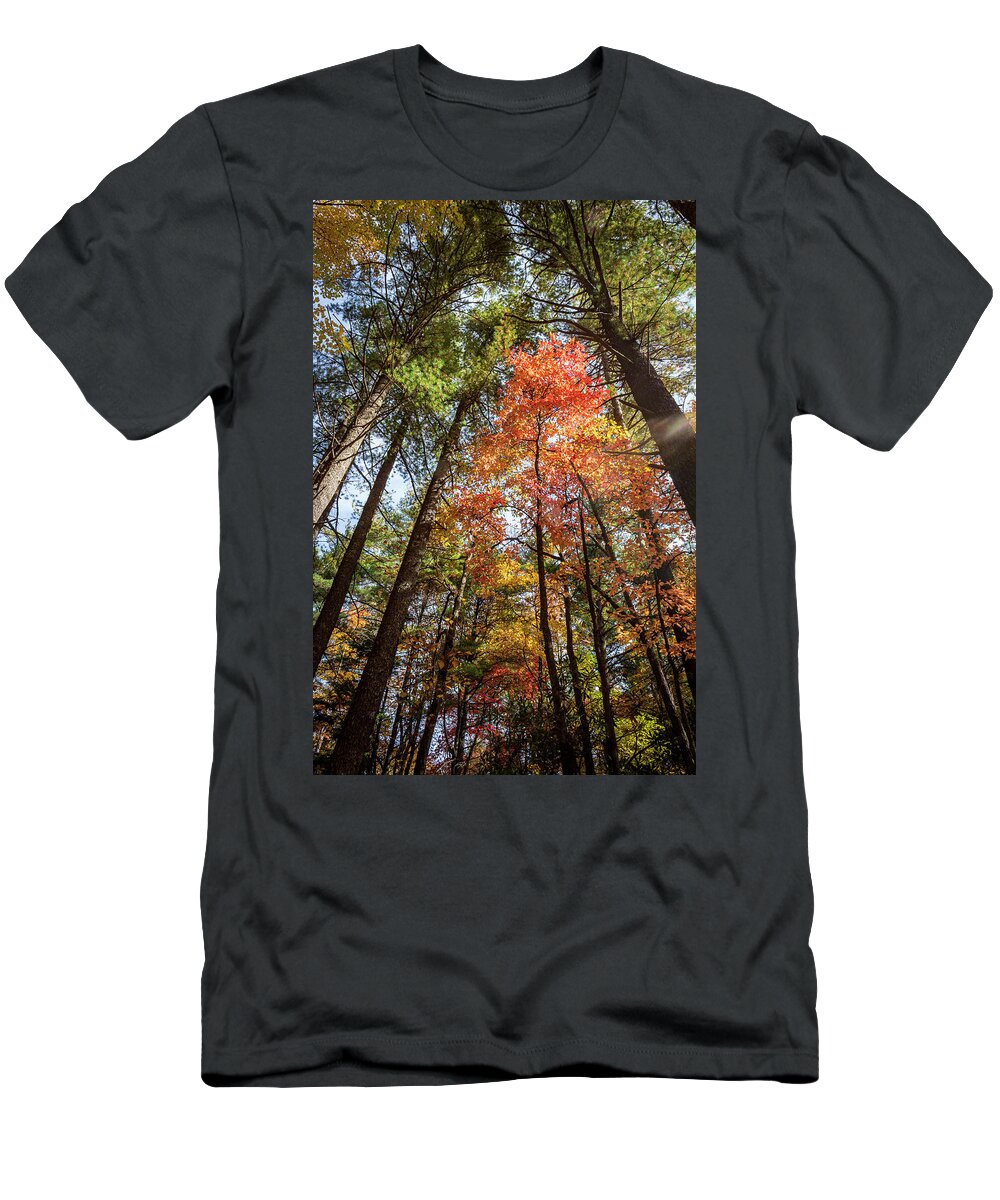 Wiseman's View T-Shirt featuring the photograph Sunlit Red and Oranges by Cynthia Clark