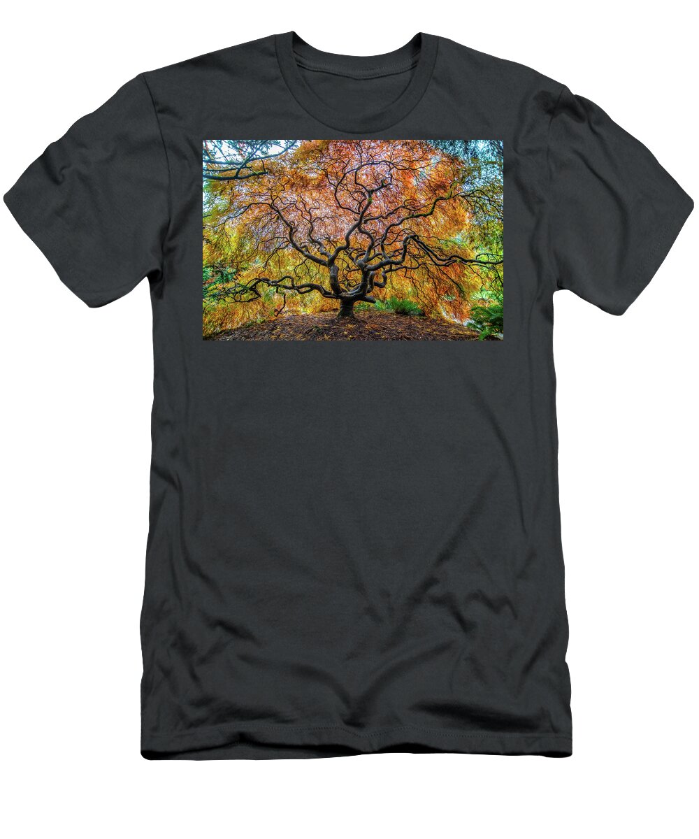 Maple T-Shirt featuring the photograph Sunny Japanese Maple by Jerry Cahill