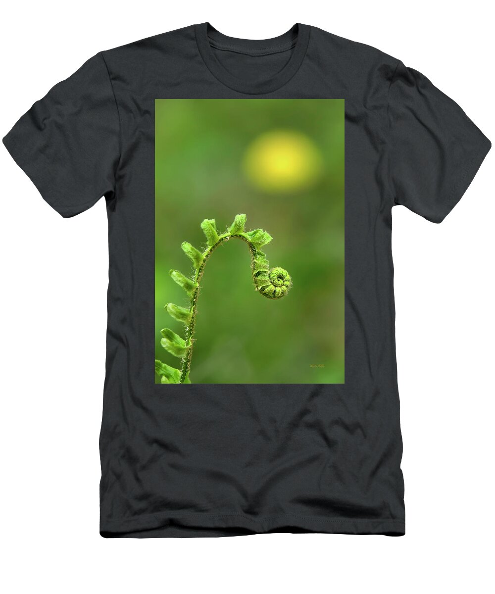 Fern T-Shirt featuring the photograph Sunrise Spiral Fern by Christina Rollo