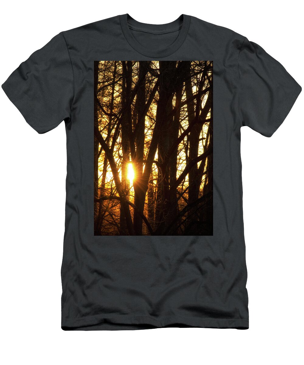 North Wilkesboro T-Shirt featuring the photograph Sunset Through the Trees by Charles Floyd