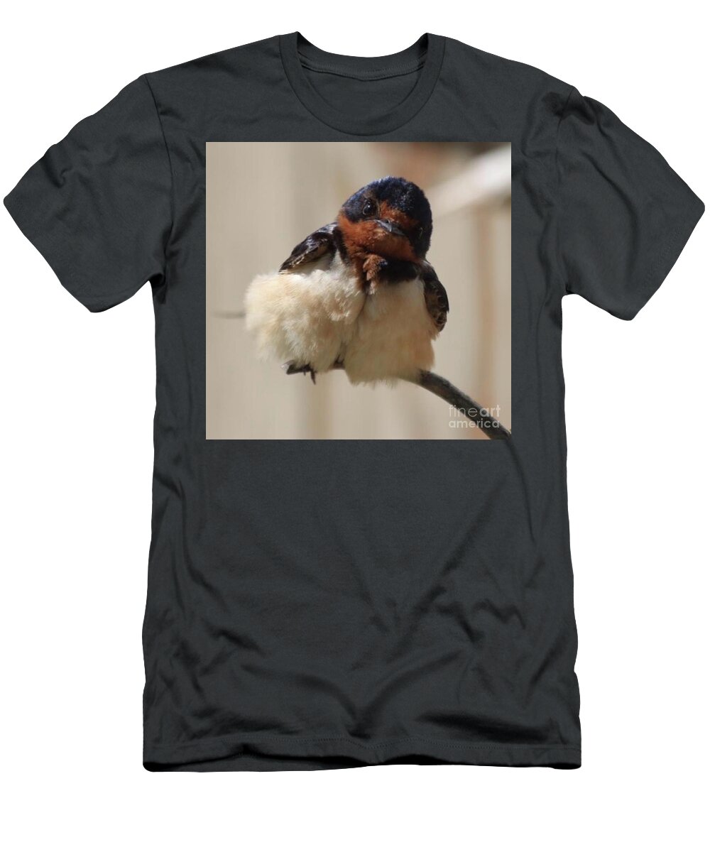 Swallow T-Shirt featuring the photograph Swallow babe by Nicola Finch
