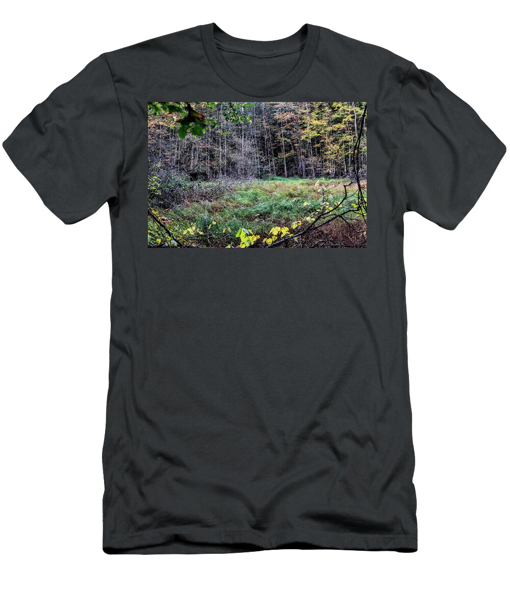 Usa T-Shirt featuring the photograph Swamp clearing in the fall by Nathan Wasylewski