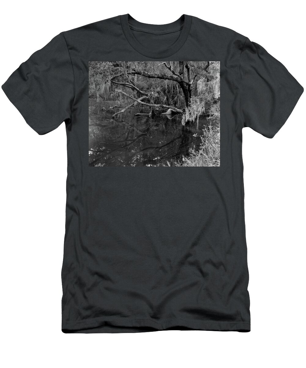 Ft. George Island T-Shirt featuring the photograph Swamp, Ft. George Island, Florida, 2004 by John Simmons