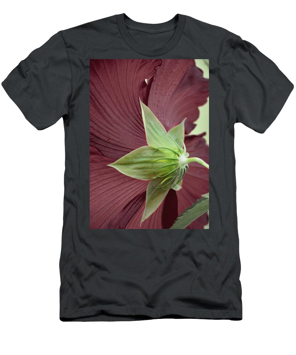 Hibiscus T-Shirt featuring the photograph Swamp Hibiscus by M Kathleen Warren