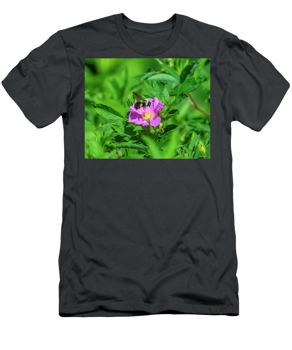 Nature T-Shirt featuring the photograph Swamp Rose and Departing Bumble Bee DFL1082 by Gerry Gantt