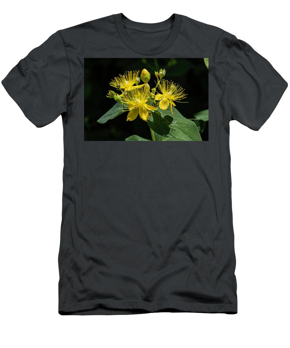 Sweet T-Shirt featuring the photograph Sweet Amber Wildflower by John Haldane