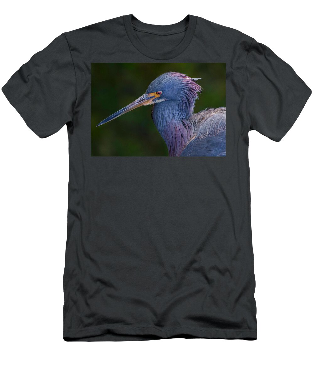 Heron T-Shirt featuring the photograph Take My Photo by Les Greenwood