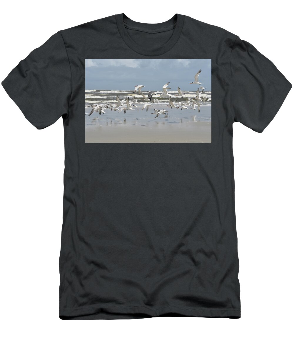 Seagulls T-Shirt featuring the painting Taking Off by Deborah Tidwell Artist