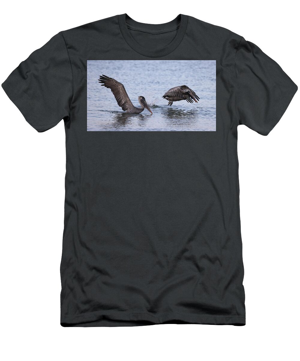 Pelicans T-Shirt featuring the photograph Taking Off by Mingming Jiang