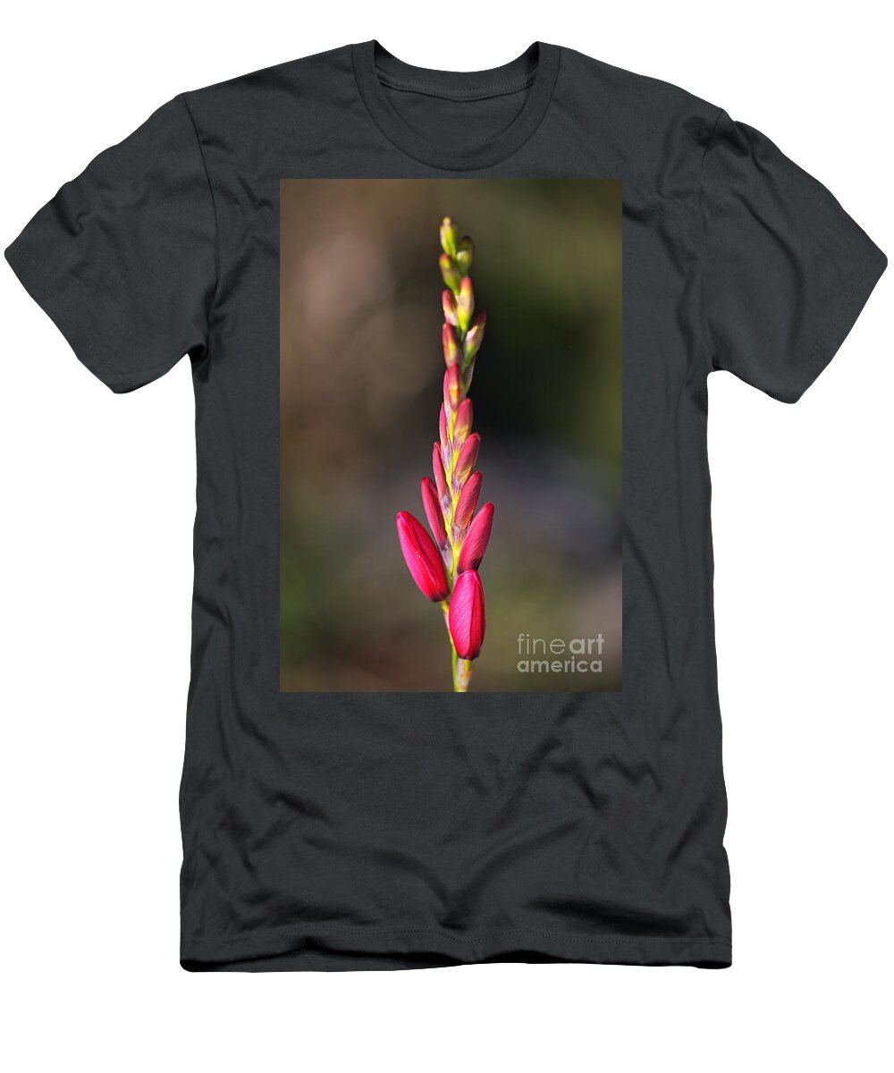 Ixia T-Shirt featuring the photograph Tall Ixia Bloom by Joy Watson