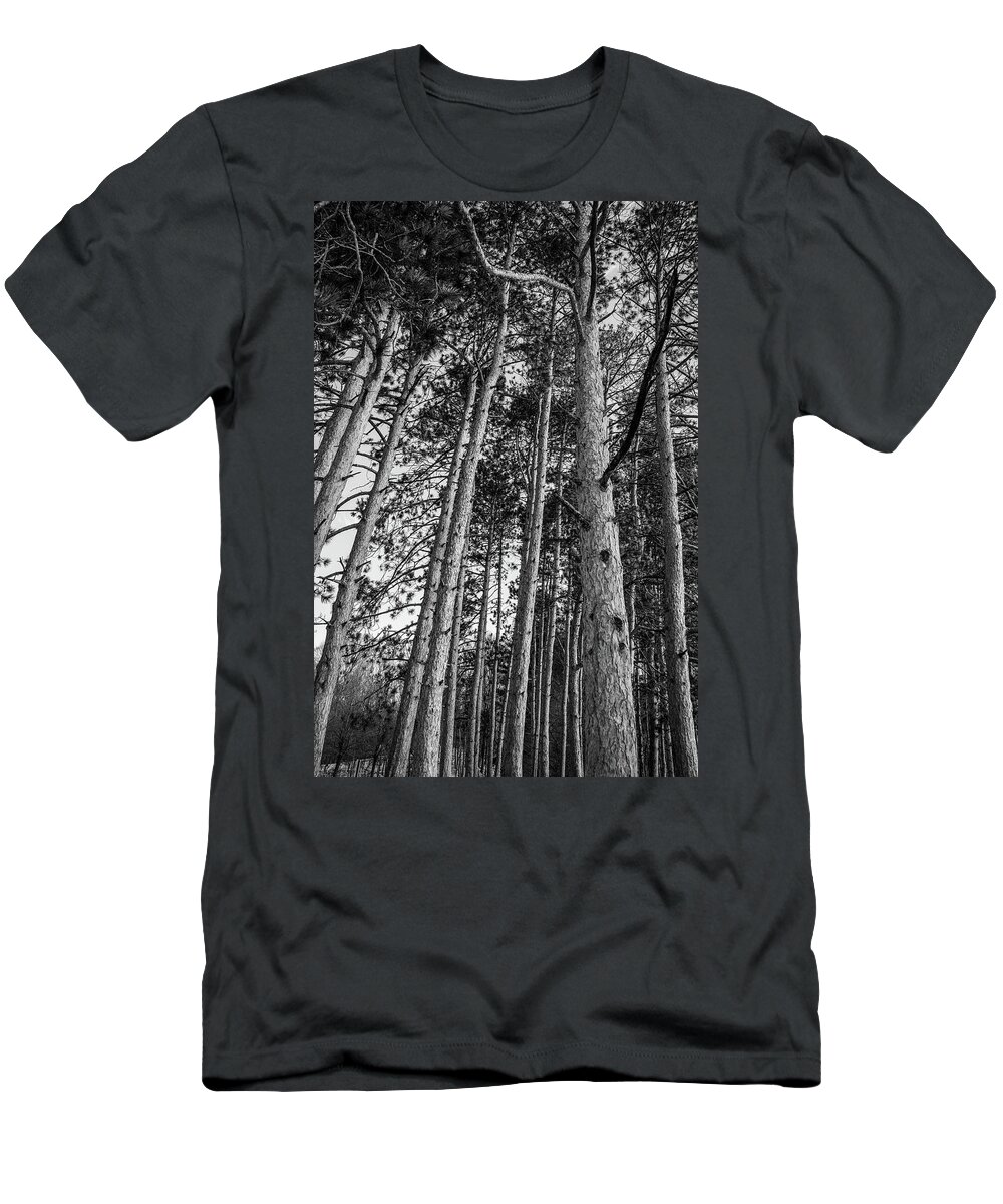 Black And White T-Shirt featuring the photograph Tall Trees by Michelle Wittensoldner