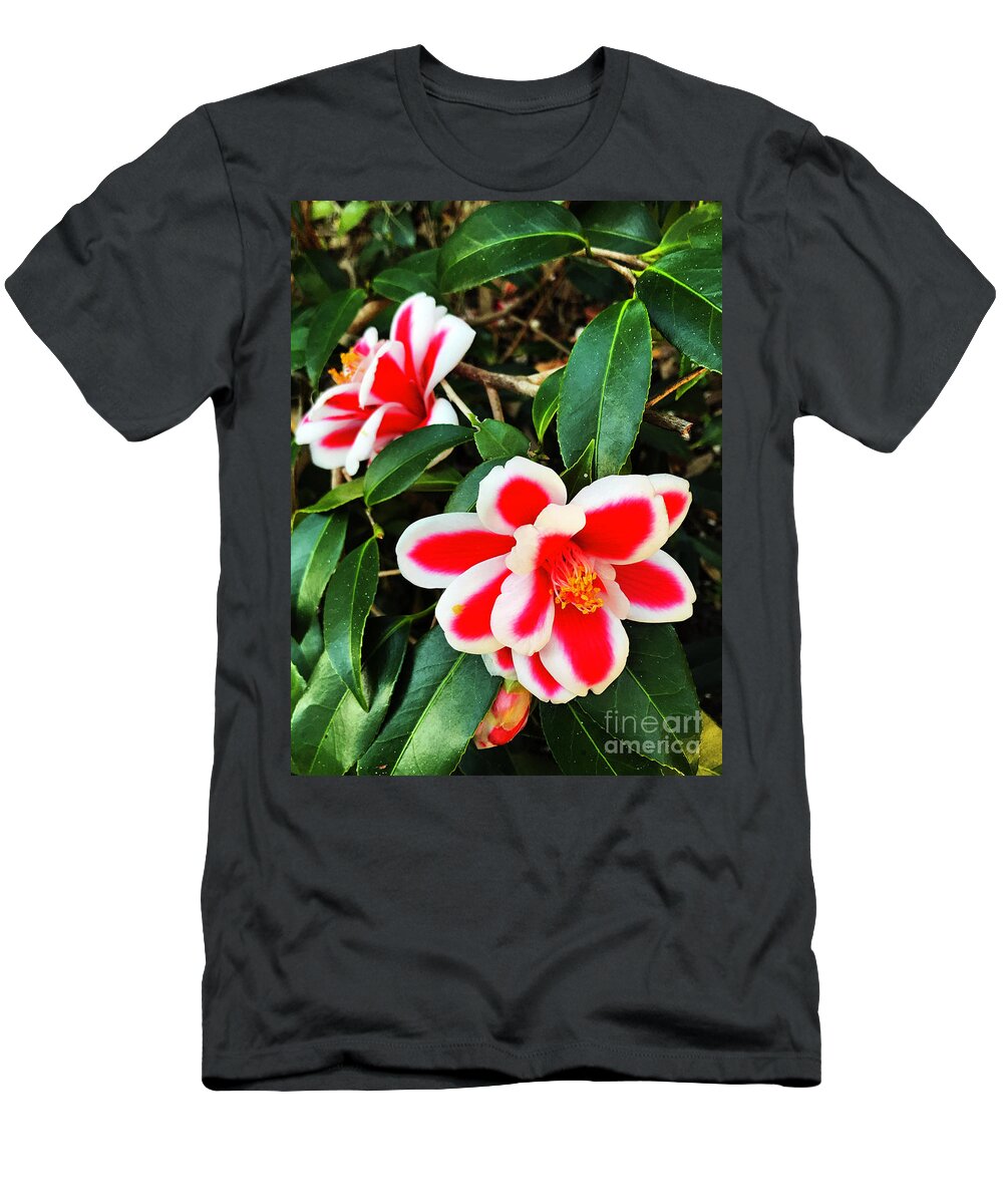 Flower T-Shirt featuring the photograph Tama Peacock Twins by Rick Locke - Out of the Corner of My Eye