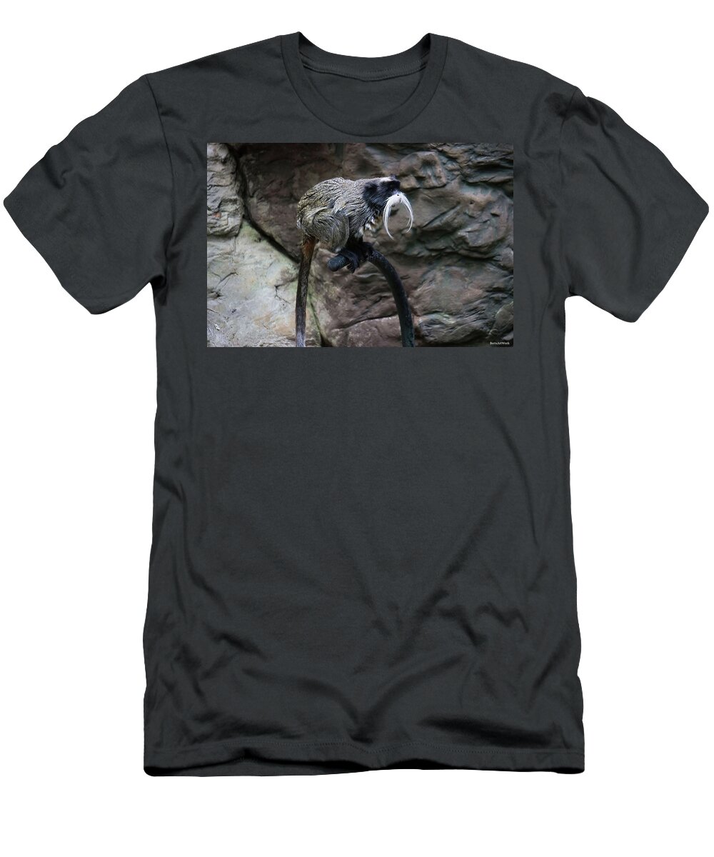 Tamarin Monkey T-Shirt featuring the photograph Tamarin Monkey by Roberta Byram