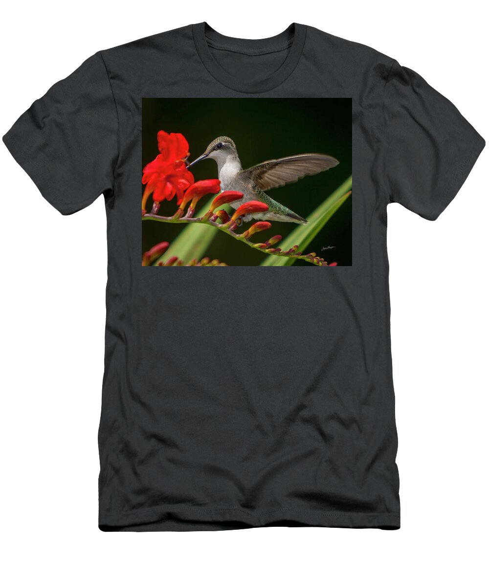 Ruby-throated Hummingbird T-Shirt featuring the photograph Tasty by Jurgen Lorenzen