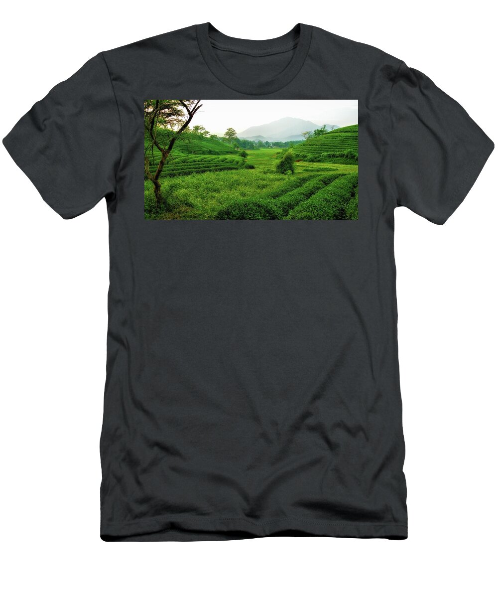 Tea T-Shirt featuring the photograph Tea plantation by Robert Bociaga