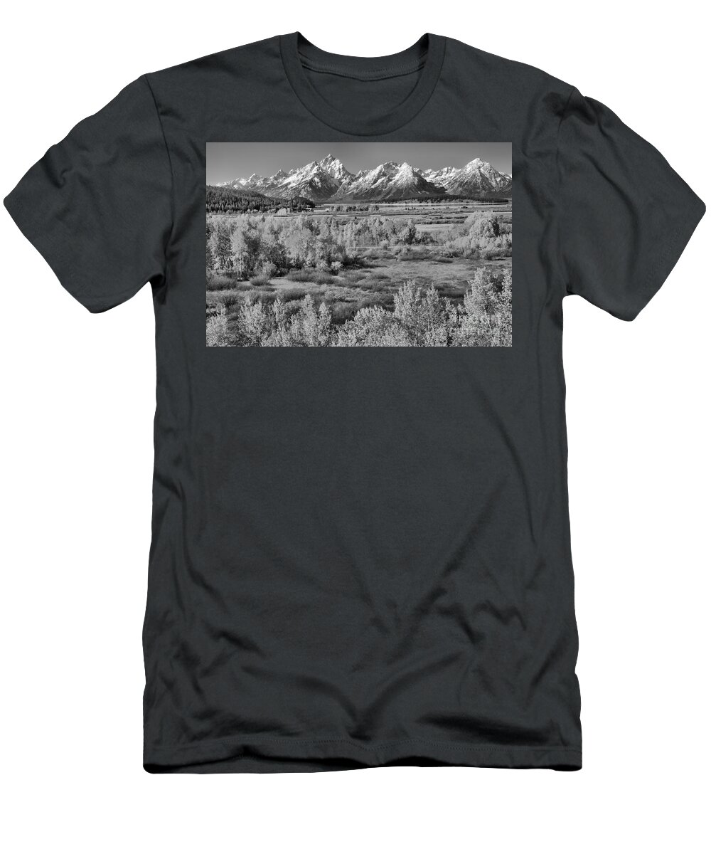 Teton T-Shirt featuring the photograph Teton Colored Forest Black And White by Adam Jewell