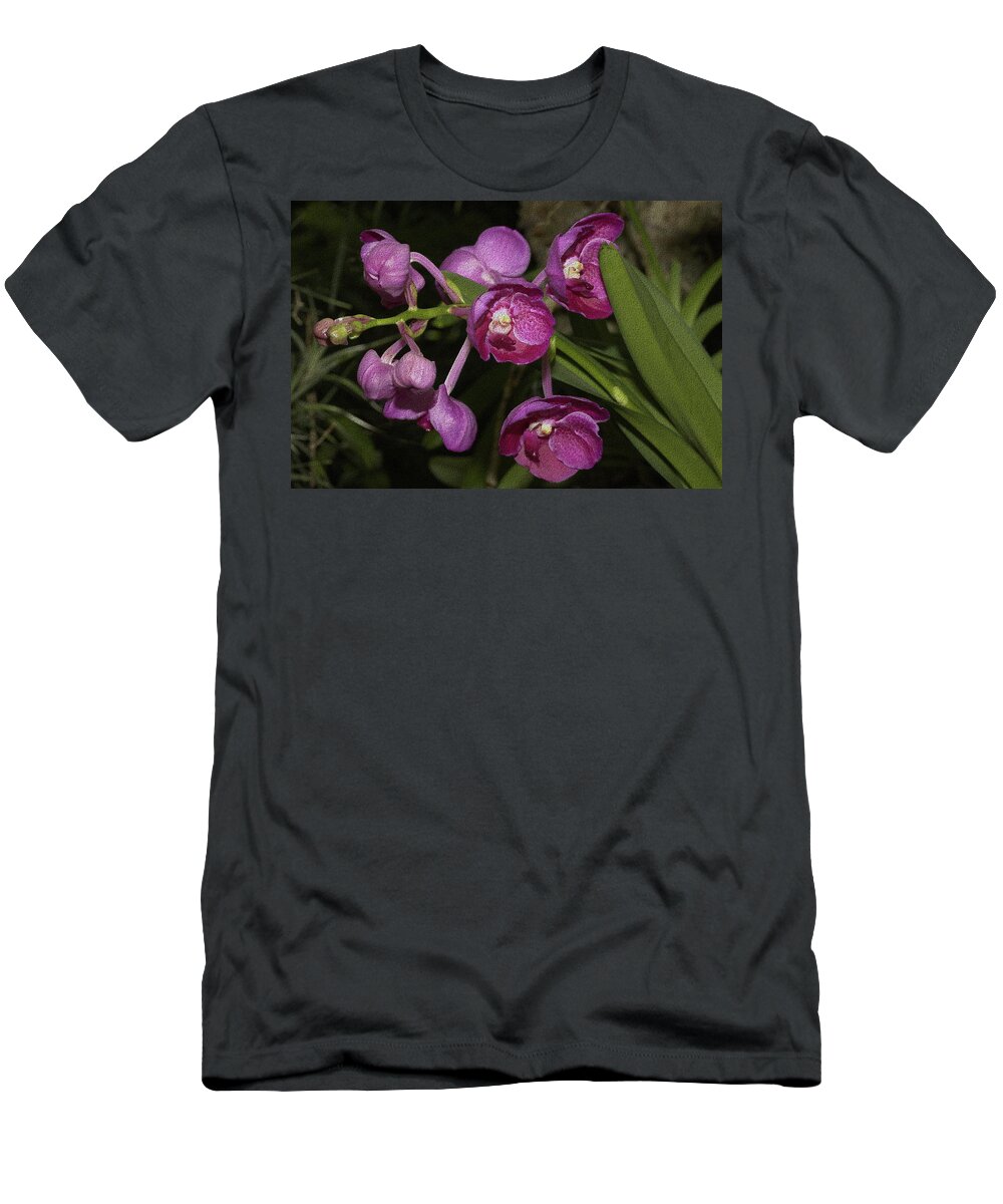 Orchid T-Shirt featuring the photograph Textured Orchid Flowers by Mingming Jiang