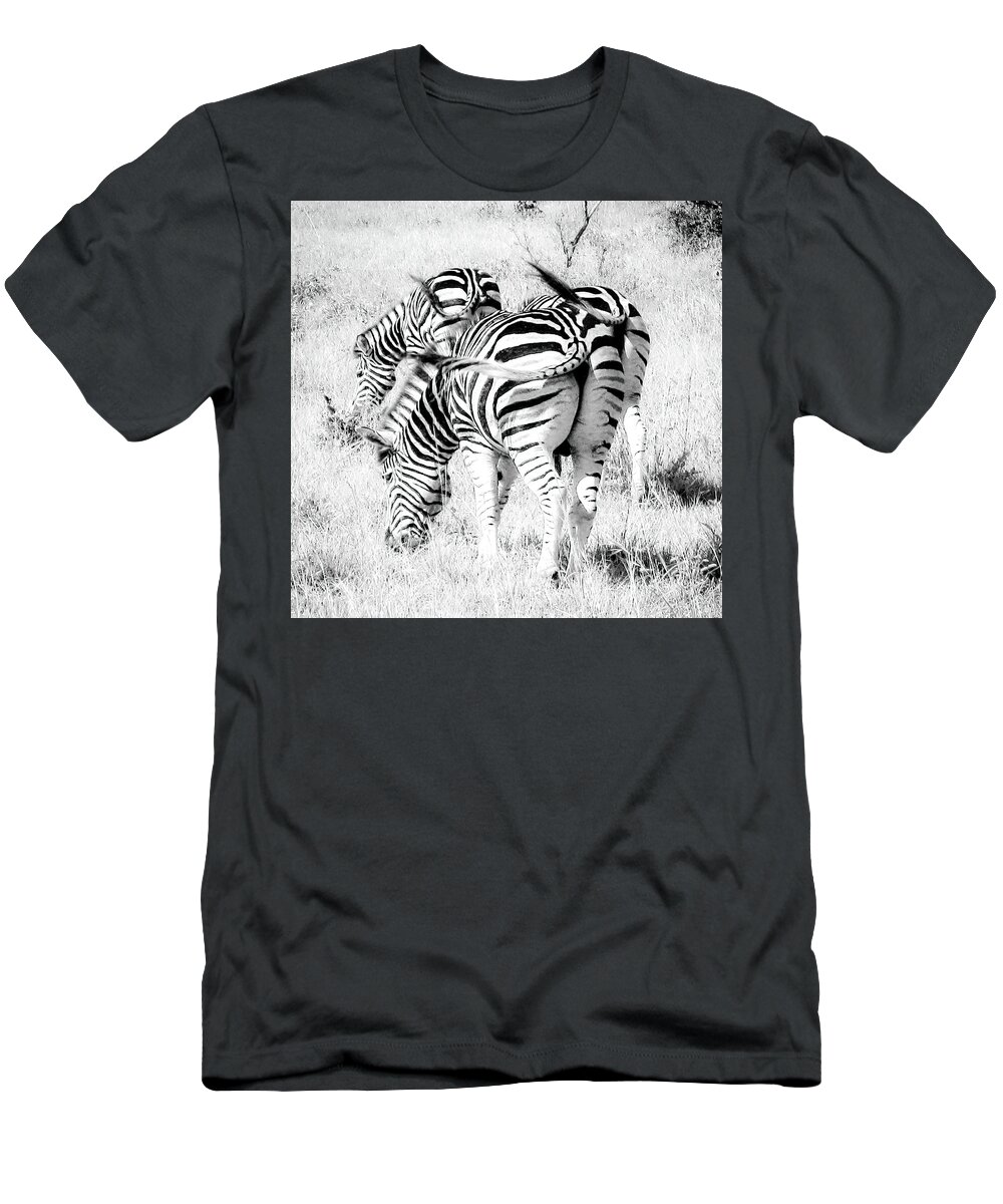Zebras T-Shirt featuring the photograph The Best Things Come In Three Zebras by Rebecca Herranen