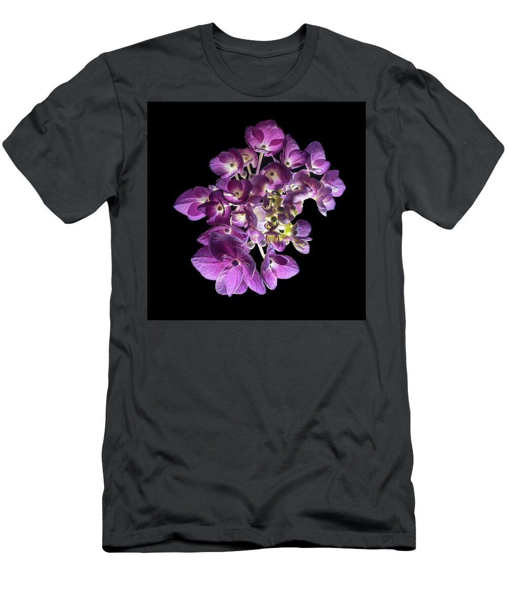 Bigleaf Hydrangea T-Shirt featuring the photograph Finale in Purple by Kevin Suttlehan