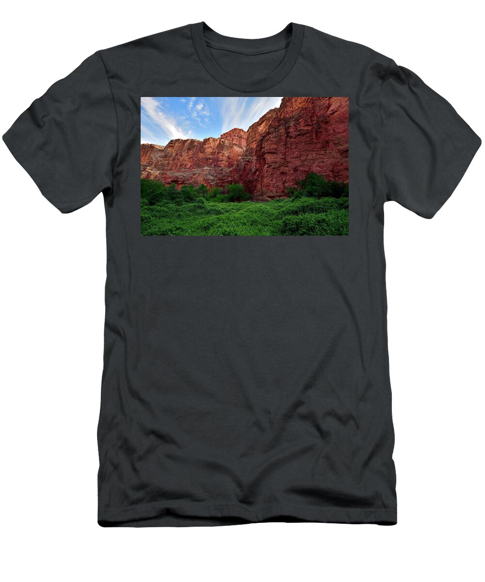 Canyon T-Shirt featuring the photograph The Canyon and the Meadow by Amazing Action Photo Video